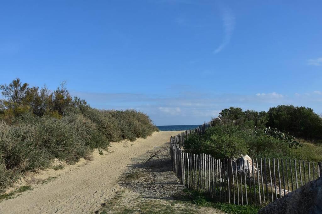 Les Goelettes - Appartement En Rdc Avec Acces Direct A La Plage Saint-Cyprien  Exterior foto