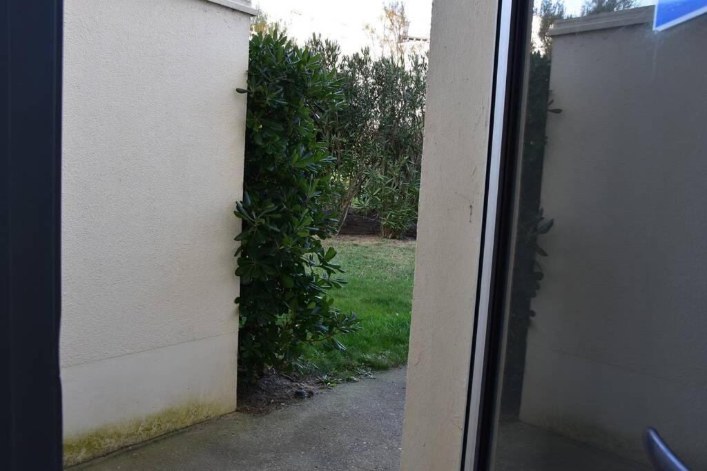 Les Goelettes - Appartement En Rdc Avec Acces Direct A La Plage Saint-Cyprien  Exterior foto